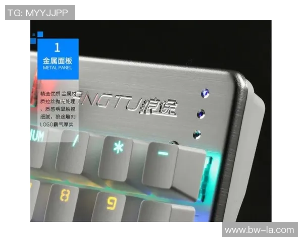 和平精英游戏鼠标选购指南及推荐品牌解析