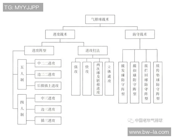 杭州排球队整体压制战术解析与实战应用探讨 杭州排球队整体压制战术解析与实战应用探讨